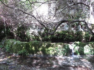 Cava Testa dell Acqua